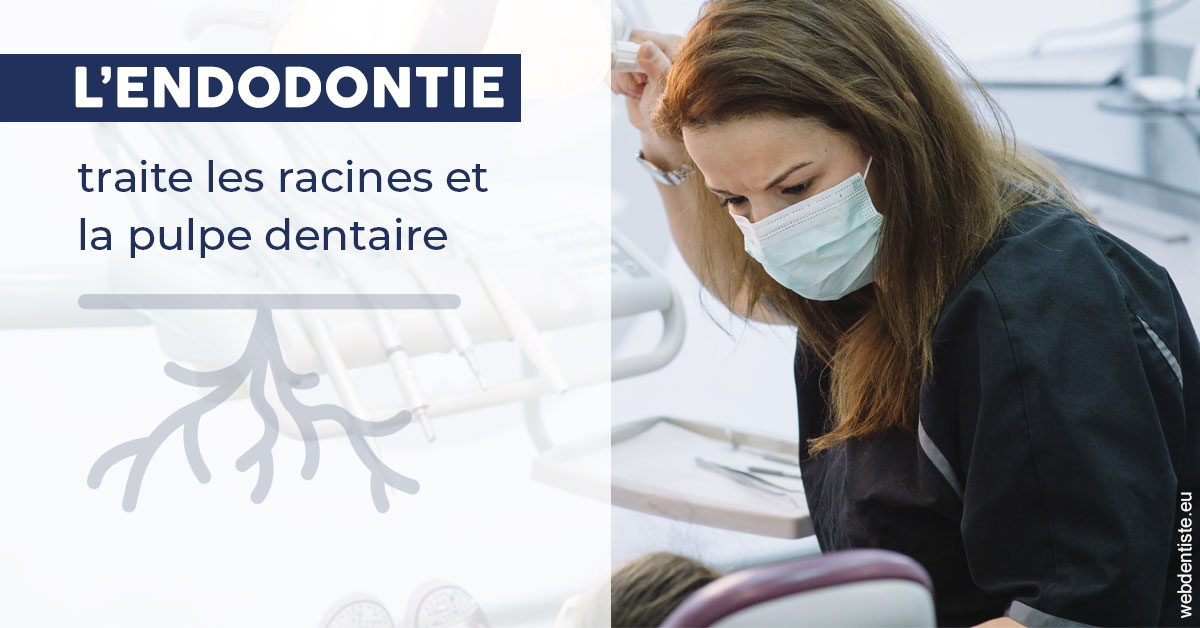 https://dr-emilie-lacaze.chirurgiens-dentistes.fr/L'endodontie 1