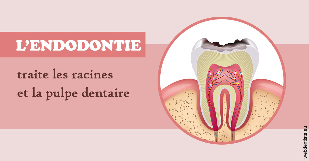 https://dr-emilie-lacaze.chirurgiens-dentistes.fr/L'endodontie 2