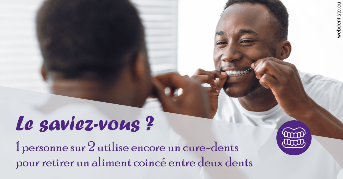 https://dr-emilie-lacaze.chirurgiens-dentistes.fr/Cure-dents 2