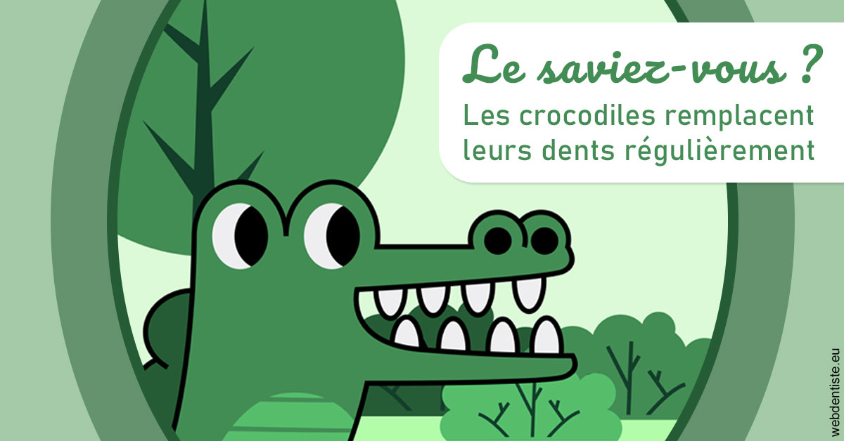 https://dr-emilie-lacaze.chirurgiens-dentistes.fr/Crocodiles 2