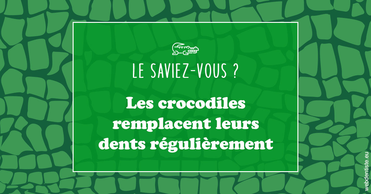 https://dr-emilie-lacaze.chirurgiens-dentistes.fr/Crocodiles 1